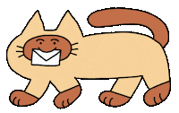 Cat Kitten Sticker