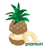 Brand Vegan Sticker by planton