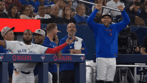 Blue Jays Baseball GIF by Toronto Blue Jays