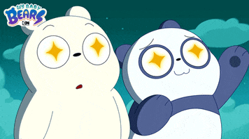Ice Bear Bears GIF by Cartoon Network