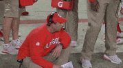 Ncaa Football Yes GIF by ESPN College Football