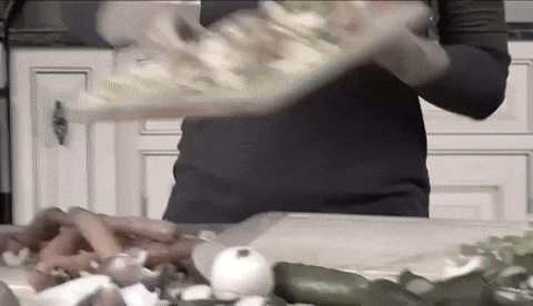 GIPHYGIP1 giphyupload GIF
