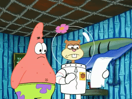 season 5 GIF by SpongeBob SquarePants