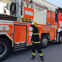 Look Searching GIF by Stadinbrankkari