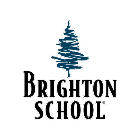 Brighton Sticker by Spring Edu Group