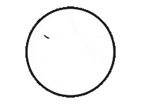 Logo Sticker by Lauren Records