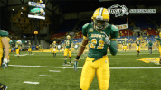 north dakota state football GIF by NDSU Athletics