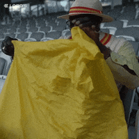 Happy London GIF by Lord's Cricket Ground
