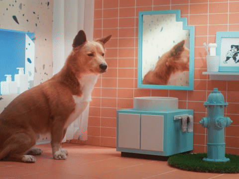 I am a Magnet for Positive People...