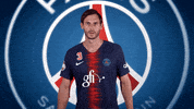 oh yeah yes GIF by Paris Saint-Germain Handball