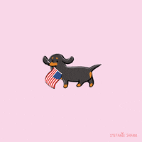 Voting Independence Day GIF by Stefanie Shank