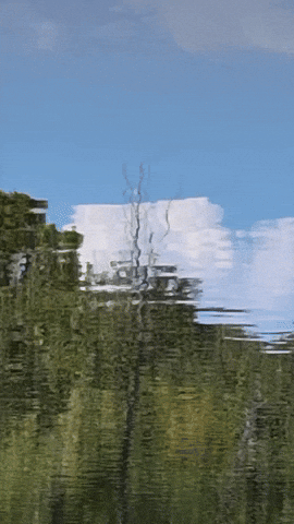 Simongip giphyupload GIF