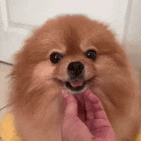 Happy 開心 GIF