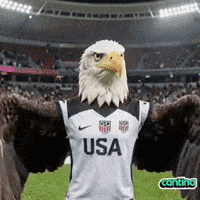 World Cup Soccer GIF by Cantina