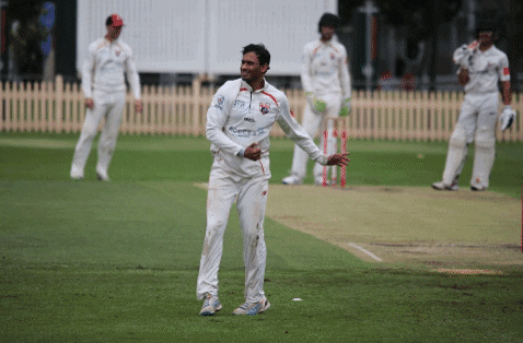 UTS_NSDCC giphygifmaker GIF