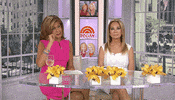 over it klg and hoda GIF