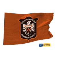 albo lmf Sticker by Tigo El Salvador