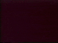 Found Footage Vhs GIF by Preston Spurlock