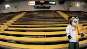 university of vermont mascot GIF