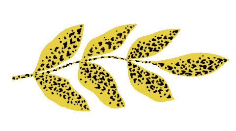 Art Design Sticker by IKEA Chile