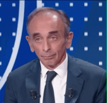 arthurtemporal13 giphygifmaker zemmour GIF