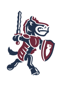 College Sports Basketball Sticker by Fairleigh Dickinson University