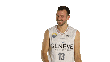 Basketball Ball Sticker by Lions de Genève