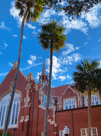 University Auditorium College GIF by University of Florida
