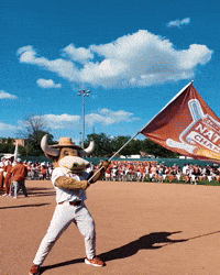 Softball GIF by Texas Longhorns