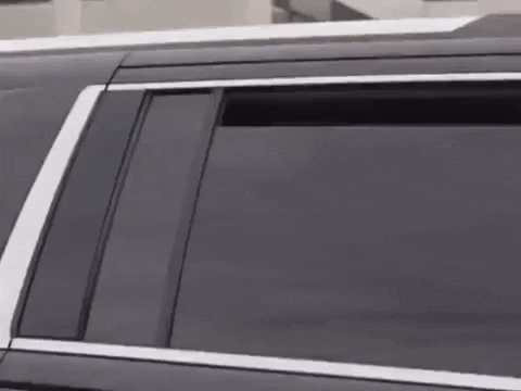 aBlackWeb giphygifmaker GIF