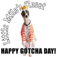 Gotcha Day Sticker by normanandpiper