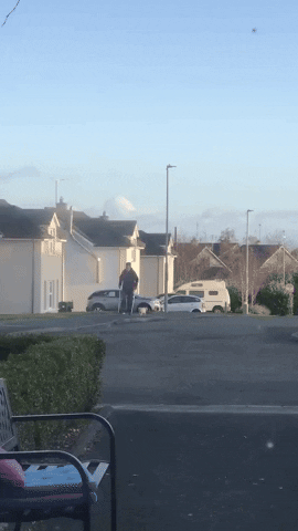 cuteanimalland giphyupload GIF