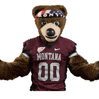 College Sports Montana Sticker by College Colors Day