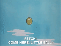 nicksplat GIF