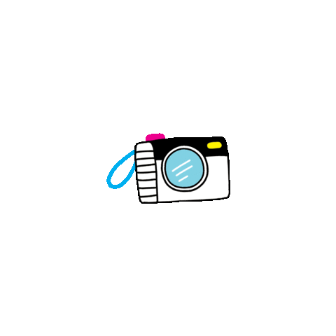 Pollicedipanda giphyupload photo camera picture Sticker