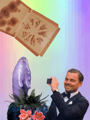 GIF by Canek