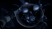 scared freak out GIF by Teenage Mutant Ninja Turtles
