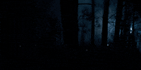 strangerthings season 1 stranger things season 1 stranger things GIF