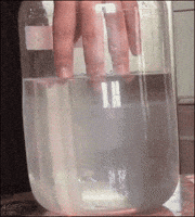 hand forget GIF