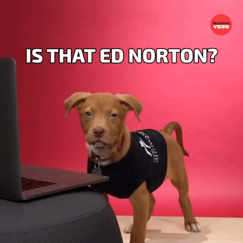Ed Norton Dogs GIF by BuzzFeed