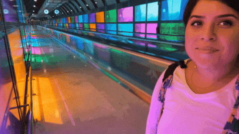 Mad Travel GIF