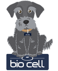 biocell biocell celulastronco celulastroncobiocell Sticker