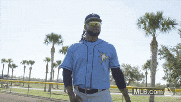 Tampa Bay Rays Sport GIF by MLB