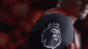 Premier League Football GIF by AFC Bournemouth