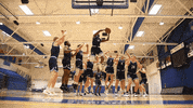Trojans Dsu GIF by Dakota State University