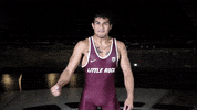 Littlerockwres GIF by Little Rock Athletics