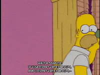homer simpson episode 13 GIF