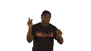 Avalon Next Post Sticker by Avalonmusicnl