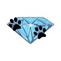 Ditrr Sticker by Diamond In The Ruff Rescue