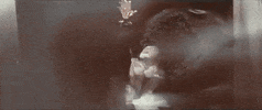 Music Video Rock GIF by Asking Alexandria